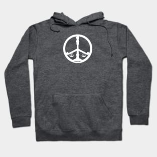 With Justice, Comes Peace Hoodie